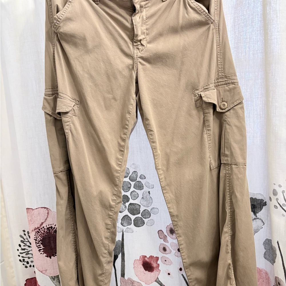 American Eagle Outfitters Tan Cargo Pants